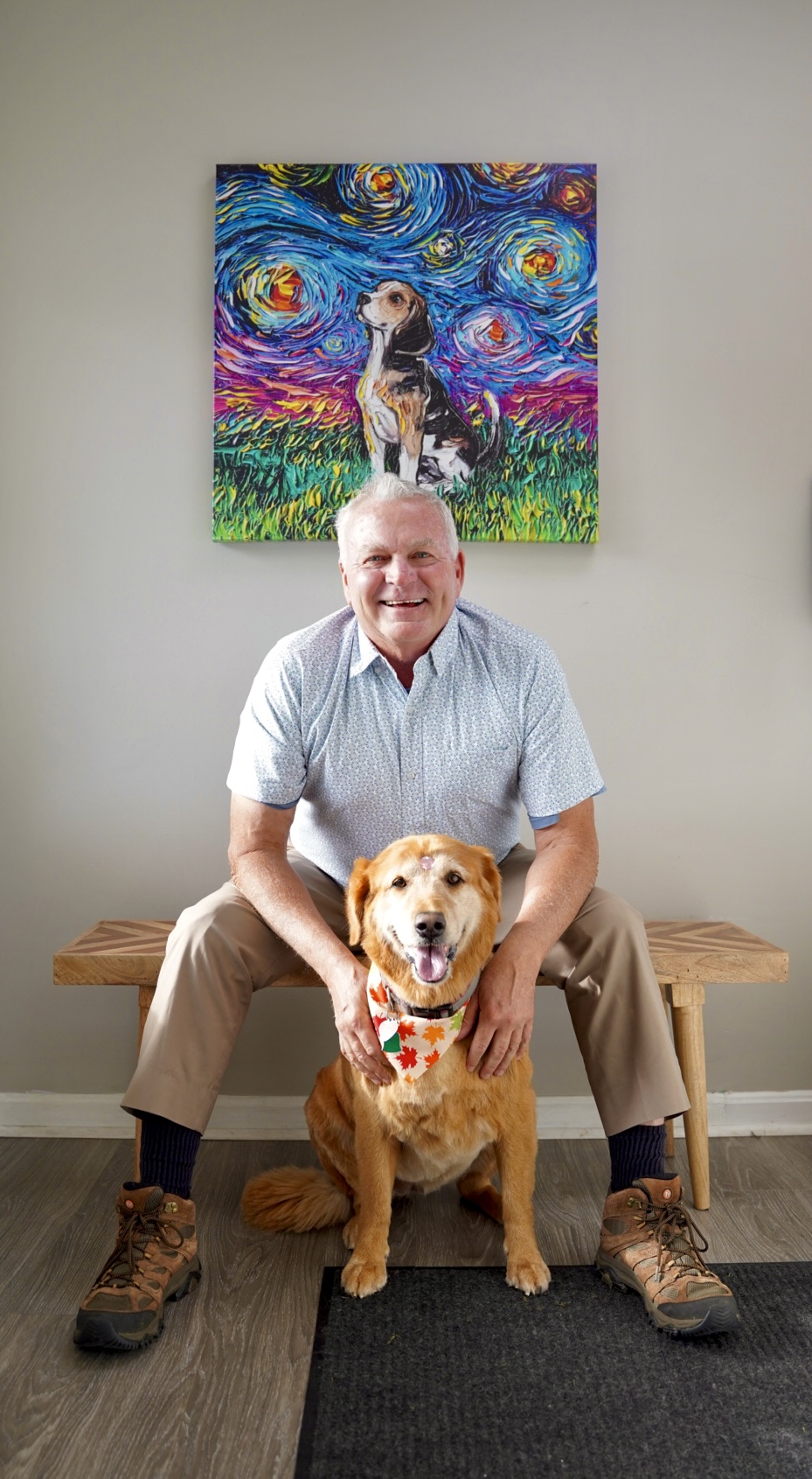 Dog grooming pet photos